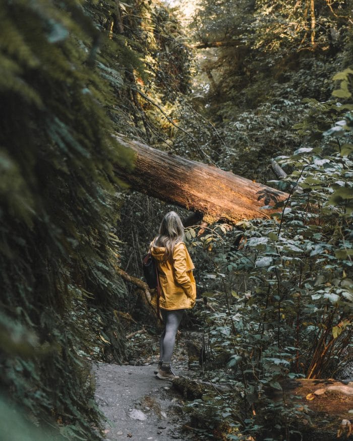 Michelle Halpern de Live Like it's the Weekend con una chaqueta amarilla en Fern Canyon