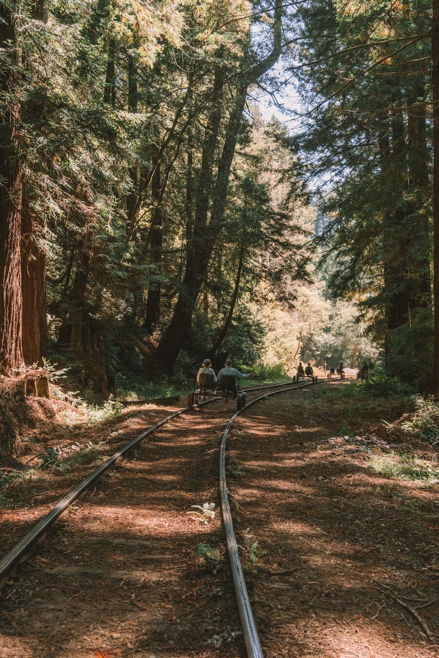 Guía definitiva de viaje por carretera en el norte de California