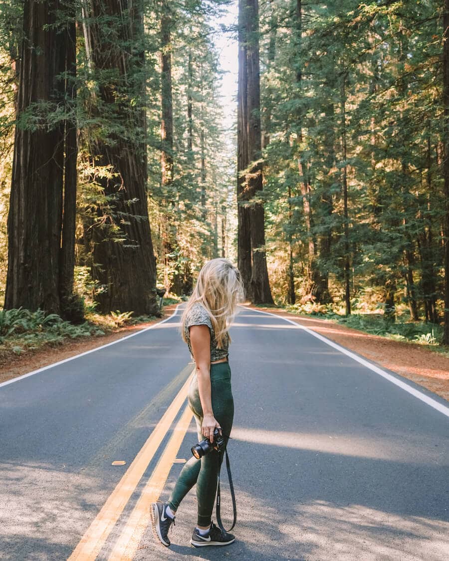 Guía definitiva de viaje por carretera en el norte de California