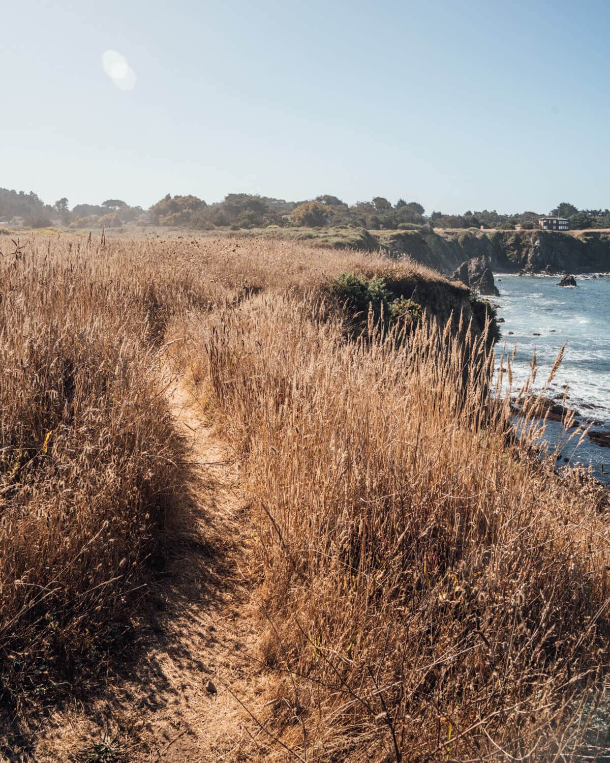 Guía definitiva de viaje por carretera en el norte de California