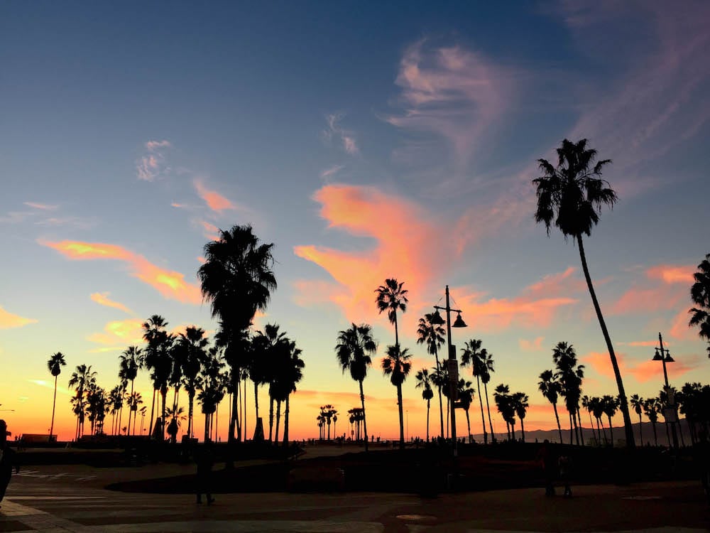 Un itinerario perfecto de 1 día en Venice Beach (1 de 1)-8