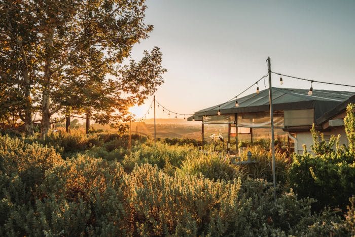 Atardecer en la bodega Callaway en el valle de Temecula