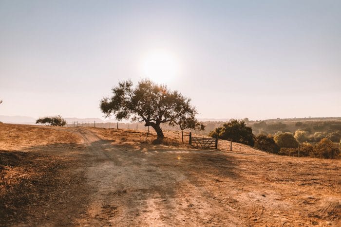 Hora dorada sobre el valle de Santa Ynez