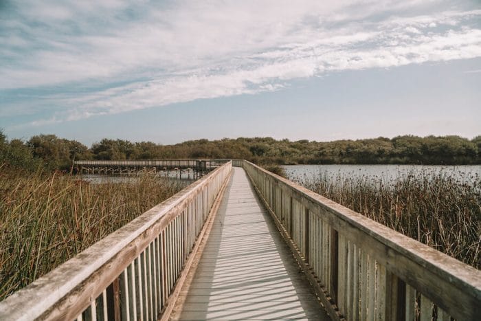 Pasarela de madera en el lago Oso Flaco en una de las mejores regiones vinícolas de California