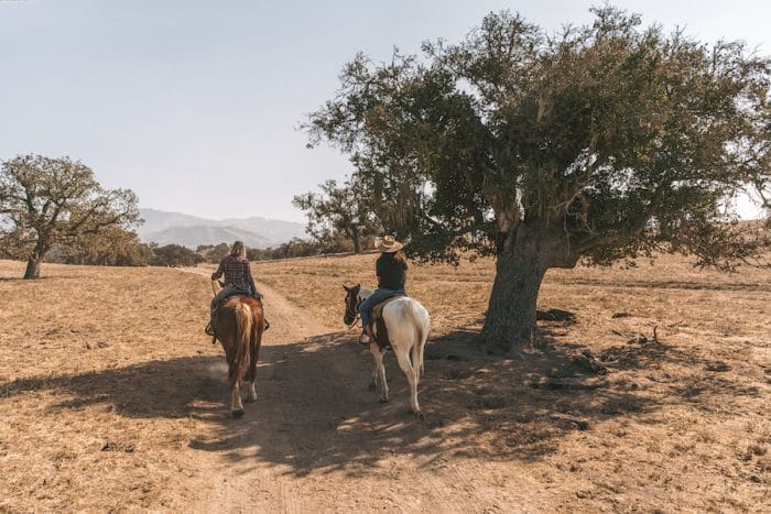 Montar a caballo en la bodega Fess Parker en el valle de Santa Ynez, una de las mejores regiones vinícolas de California
