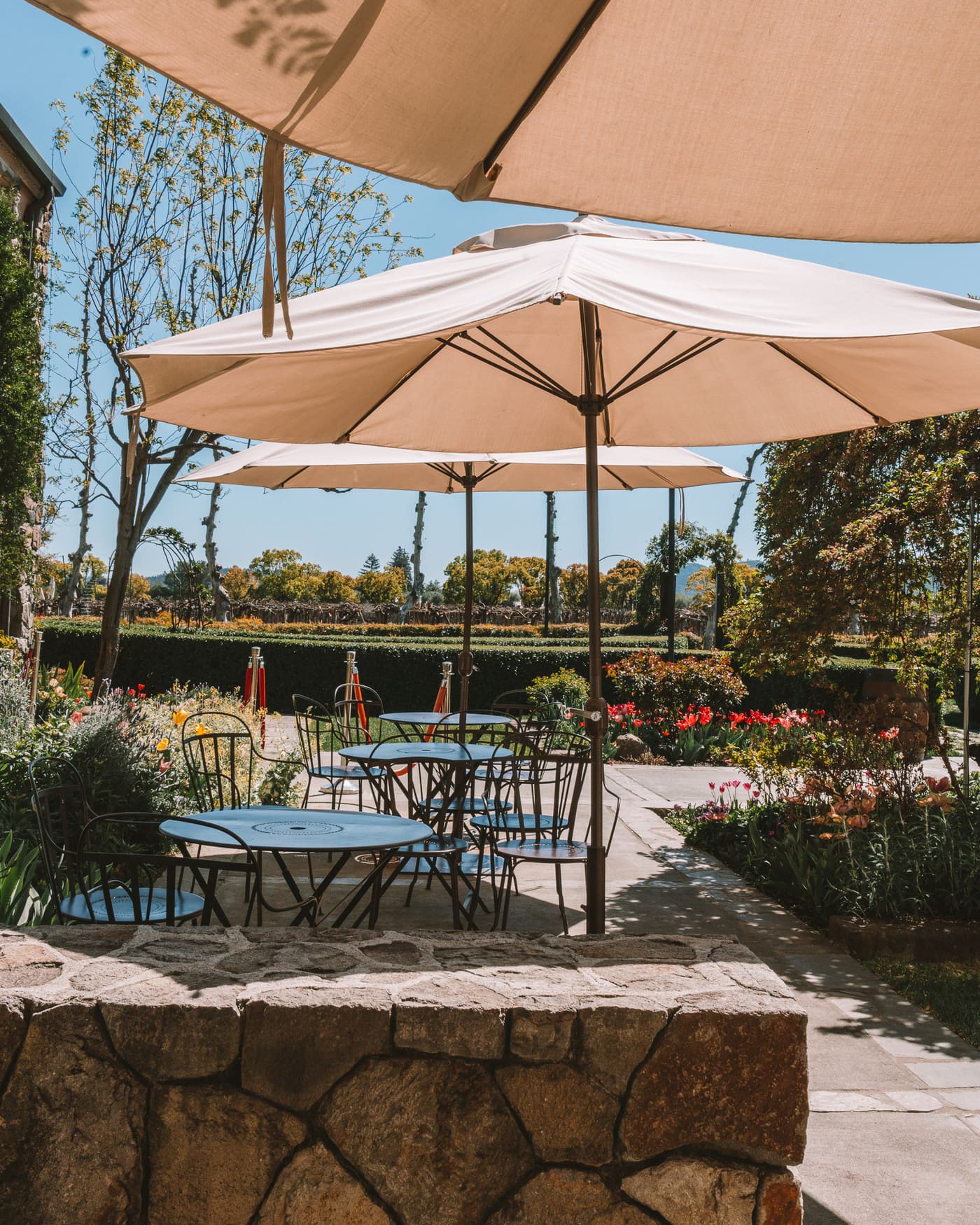 Mesas en Peju Winery, Napa Valley