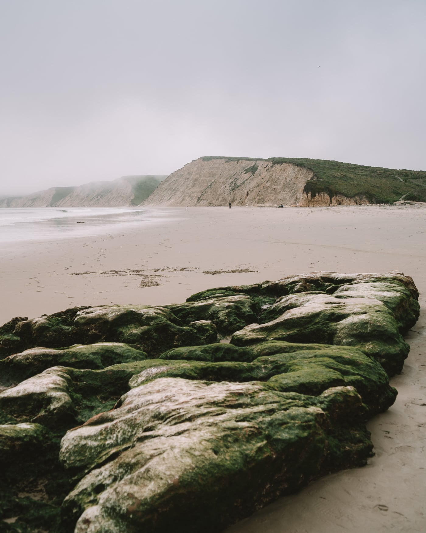 Playa Drakes en Point Reyes, California