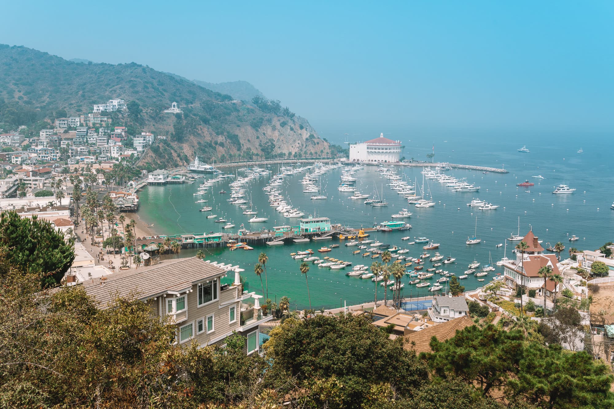 Dónde visitar en California en verano: Isla Catalina