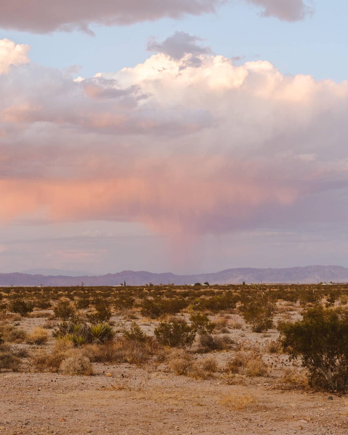Una estancia remota y acogedora en El Rancho Joshua Tree