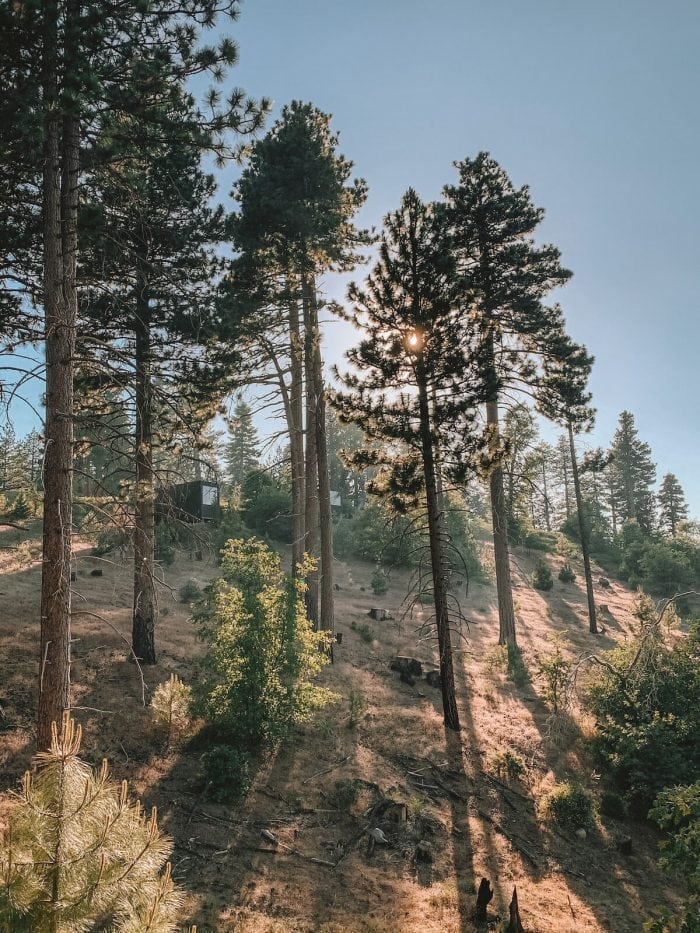 Cabañas de escapada escondidas entre los árboles en Big Bear