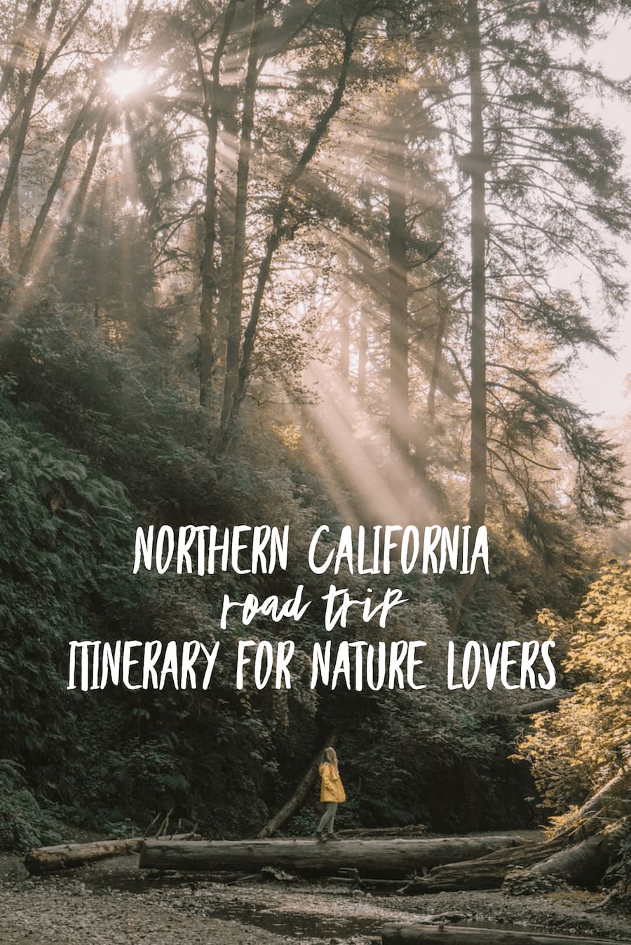 Guía definitiva de viaje por carretera en el norte de California