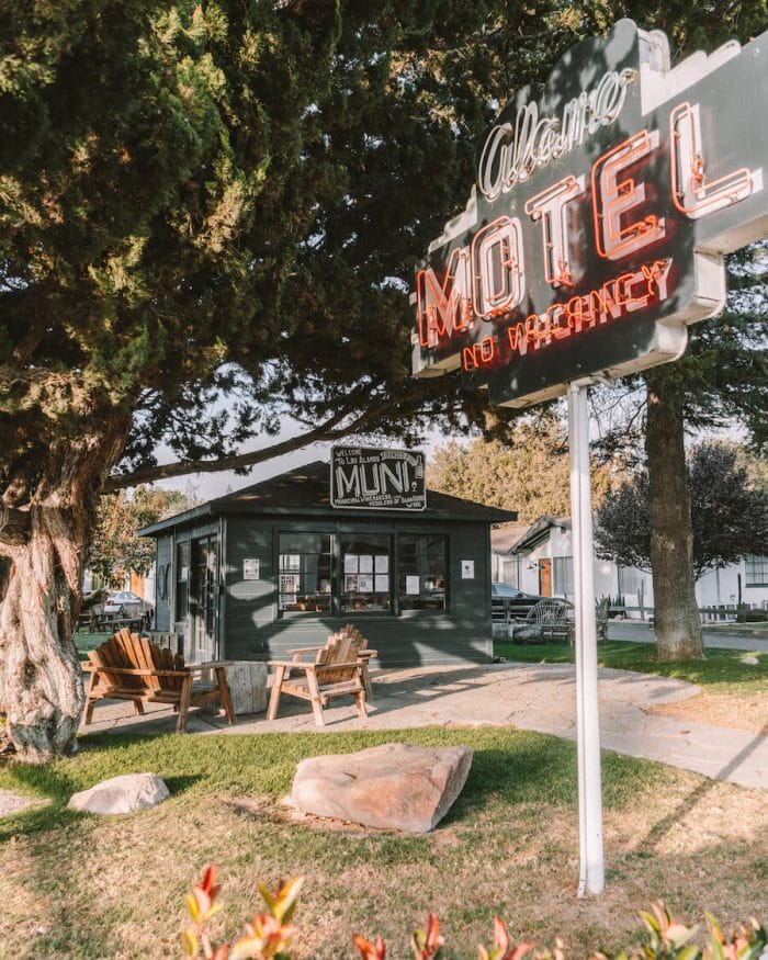 Vinos Muni en Alamo Motel