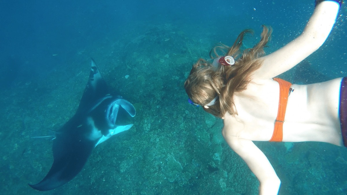 Mis mejores momentos de viaje de 2016