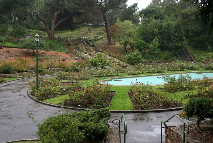Morcom Rose Garden por Calibas a través de Wikimedia cc