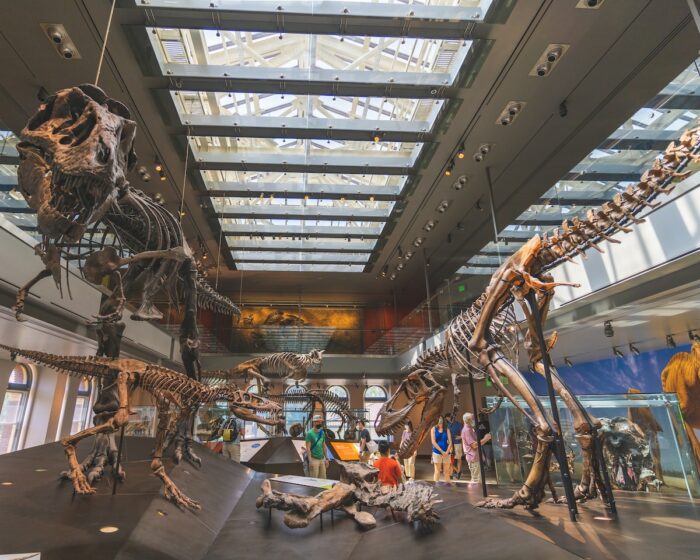 Museo de Historia Natural del Condado de Los Ángeles por @santonii a través de Unsplash