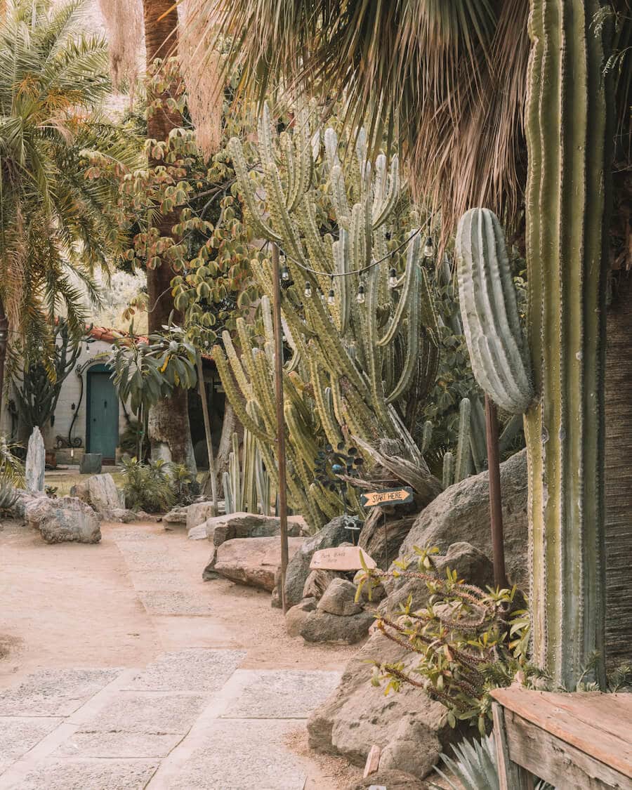 Cómo planificar una escapada de fin de semana a Palm Springs