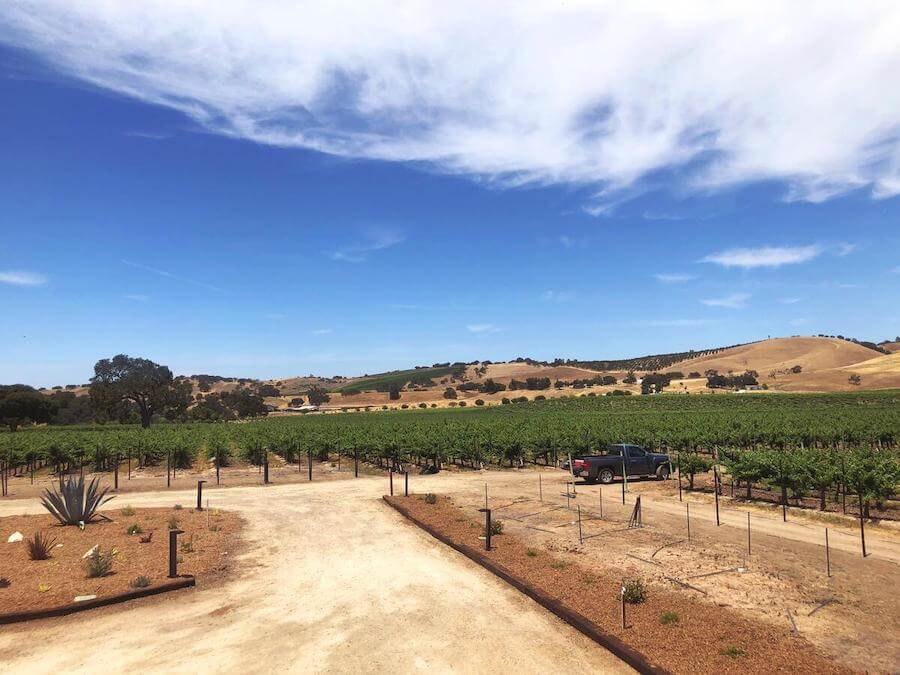 Bodega Cass en Paso Robles