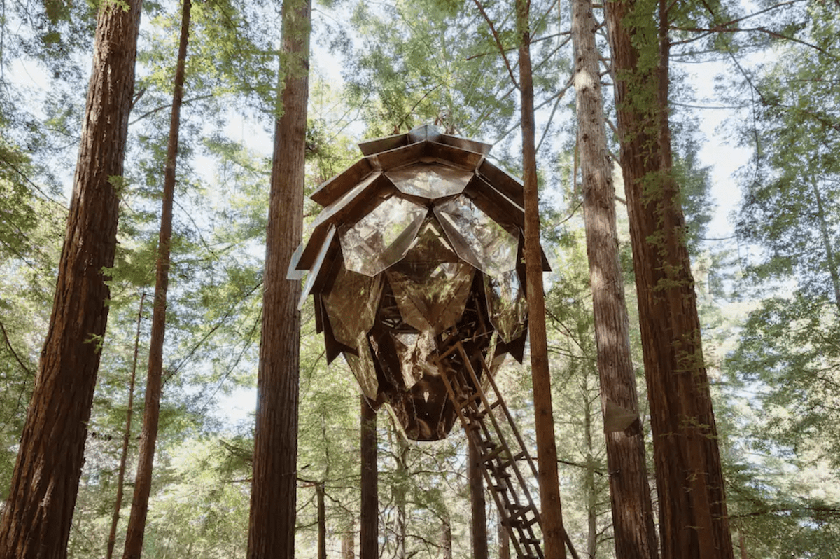 La casa del árbol del cono de pino visto desde abajo