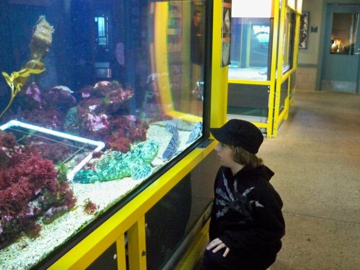 Foto del Seymour Marine Discovery Center de Alison Tilton a través de la página de FB