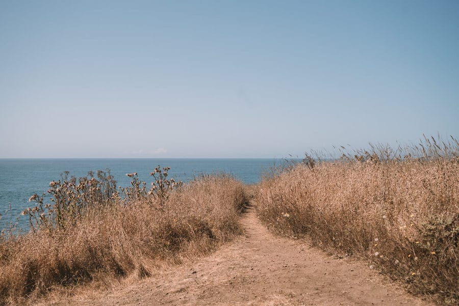 11 cosas que no te puedes perder en Mendocino, California