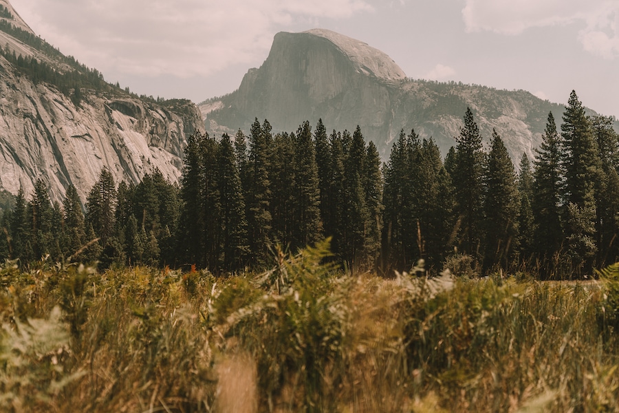 Pradera de Cook en el Parque Nacional de Yosemite
