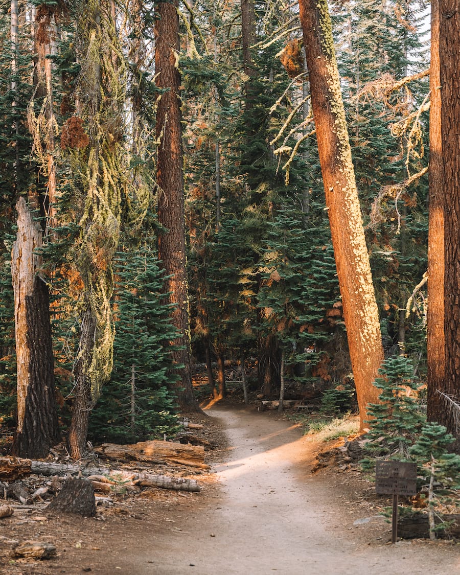 Recorriendo el sendero hasta Taft Point en el Parque Nacional Yosemite