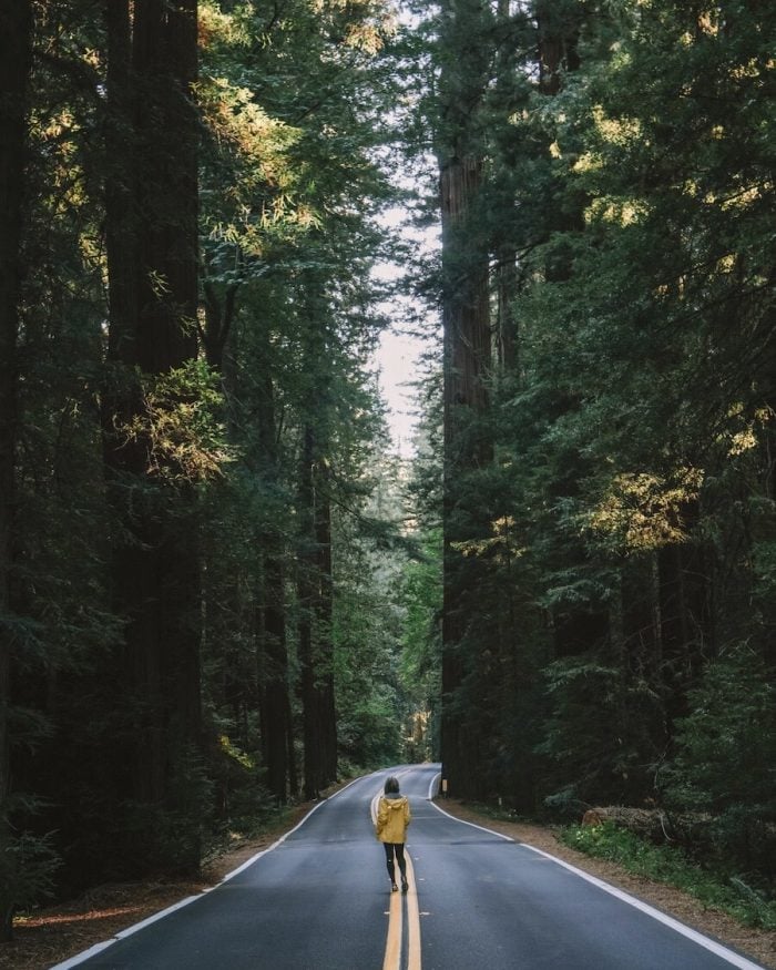 Chica con chaqueta amarilla parada en la calle en Avenue of the Giants