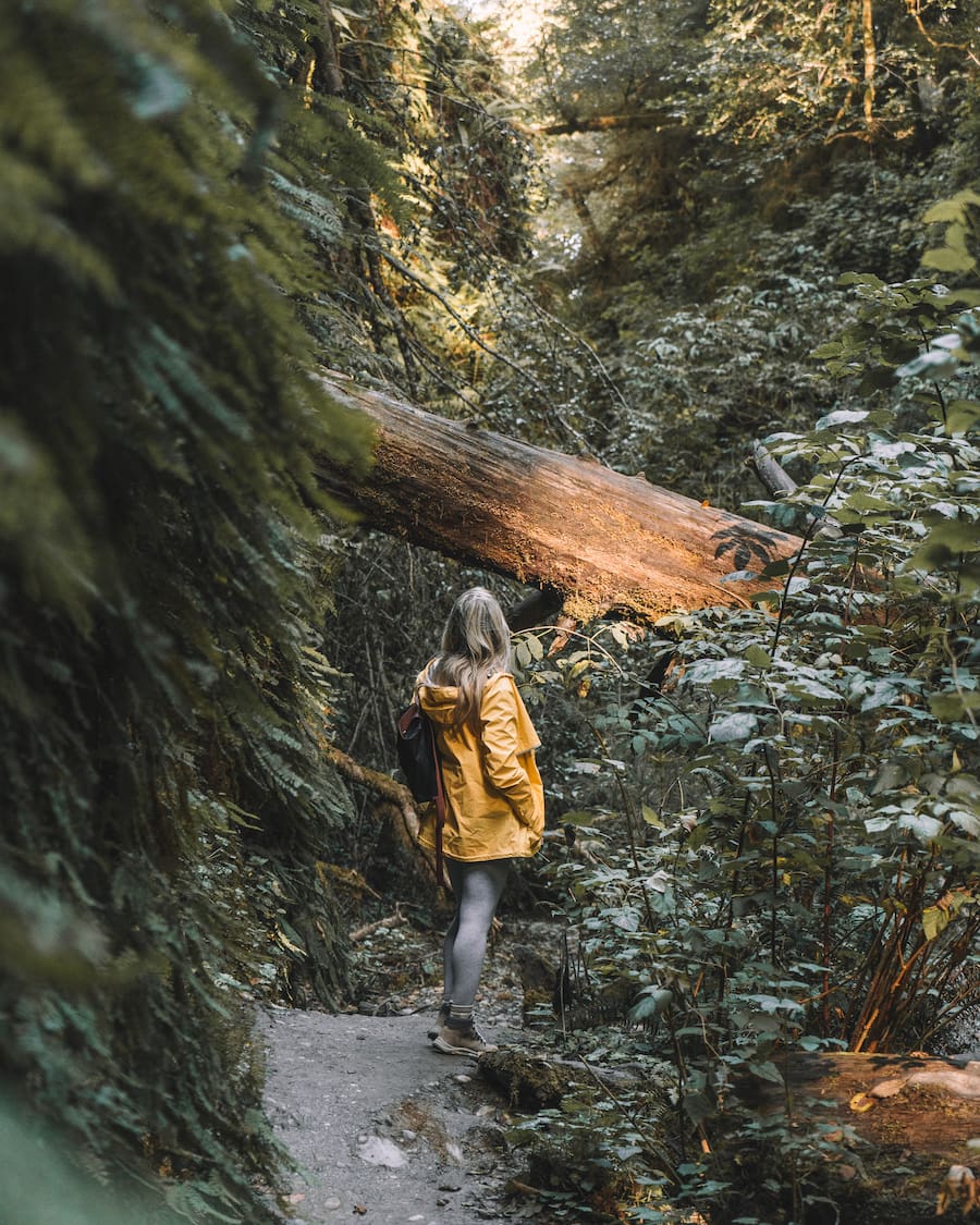 Michelle Halpern en Fern Canyon