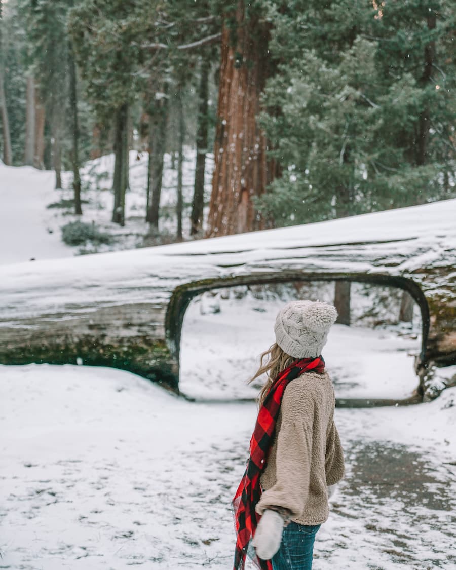 Michelle Halpern en la nieve en el túnel Sequoia