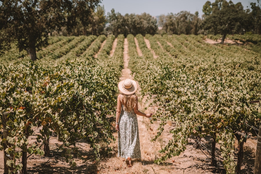 niña, posición, en, viña, en, paso, robles