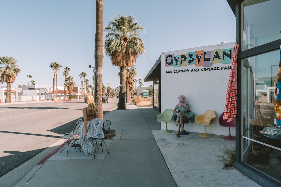 Cosecha gitana en Palm Springs