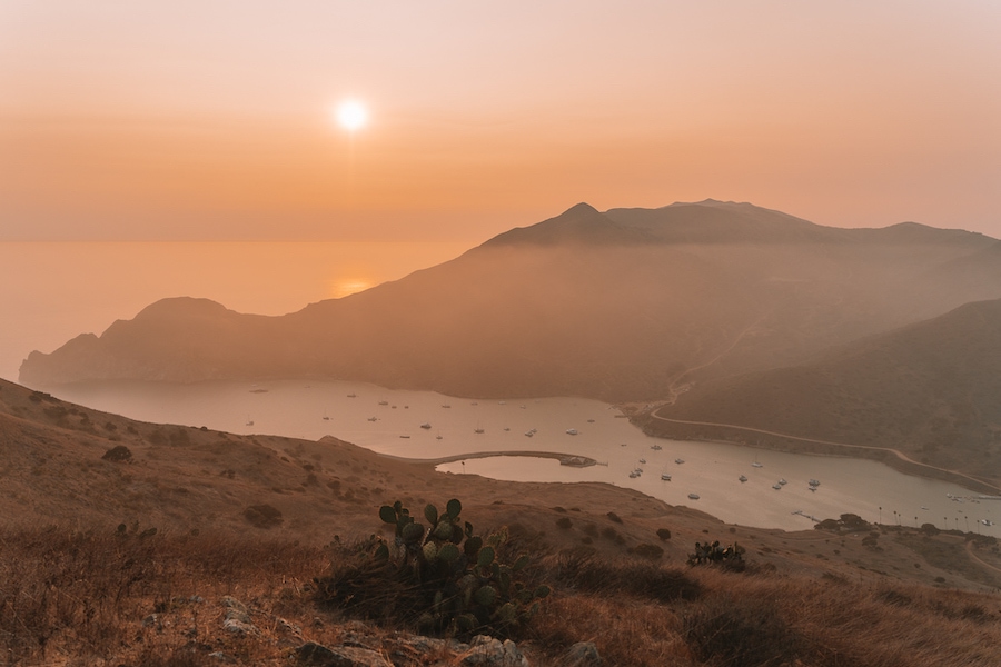 Puesta de sol sobre dos puertos, Isla Catalina