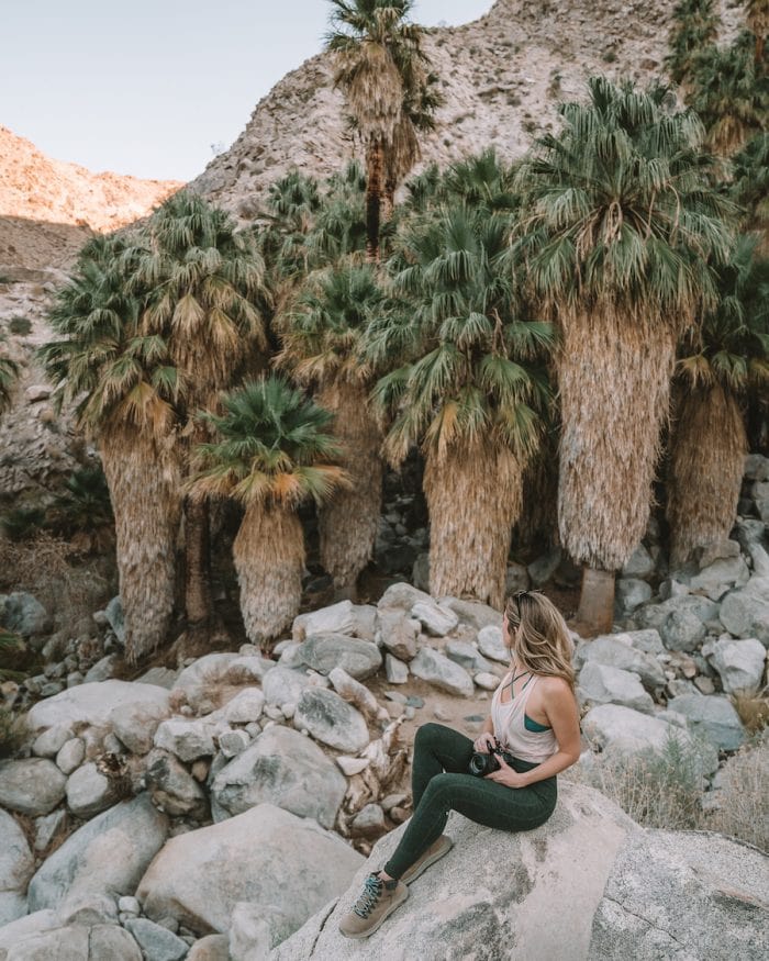 Sendero del cañón de veintinueve palmeras en Joshua Tree