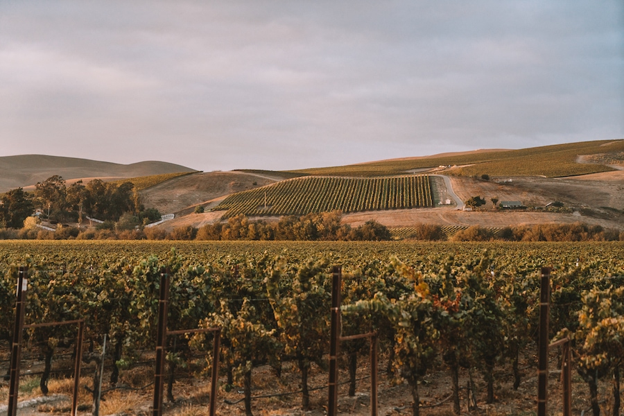 Región vinícola de Los Álamos - Escapadas de fin de semana desde Los Ángeles