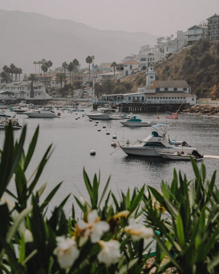Bahía de Avalón, Catalina