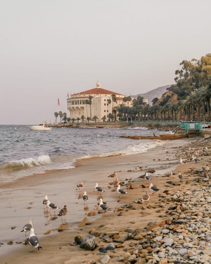 Qué hacer en Catalina - Casino en Avalon, Isla Catalina