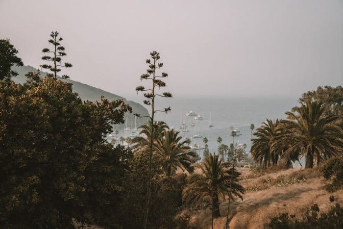 Dos Puertos, Catalina