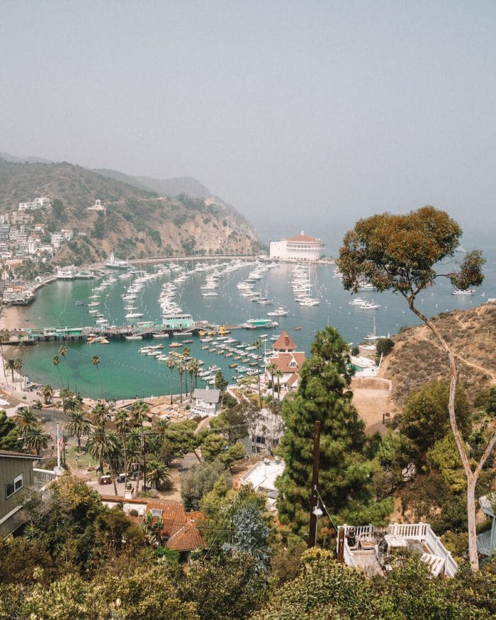 Con vistas a la bahía de Avalon en Catalina