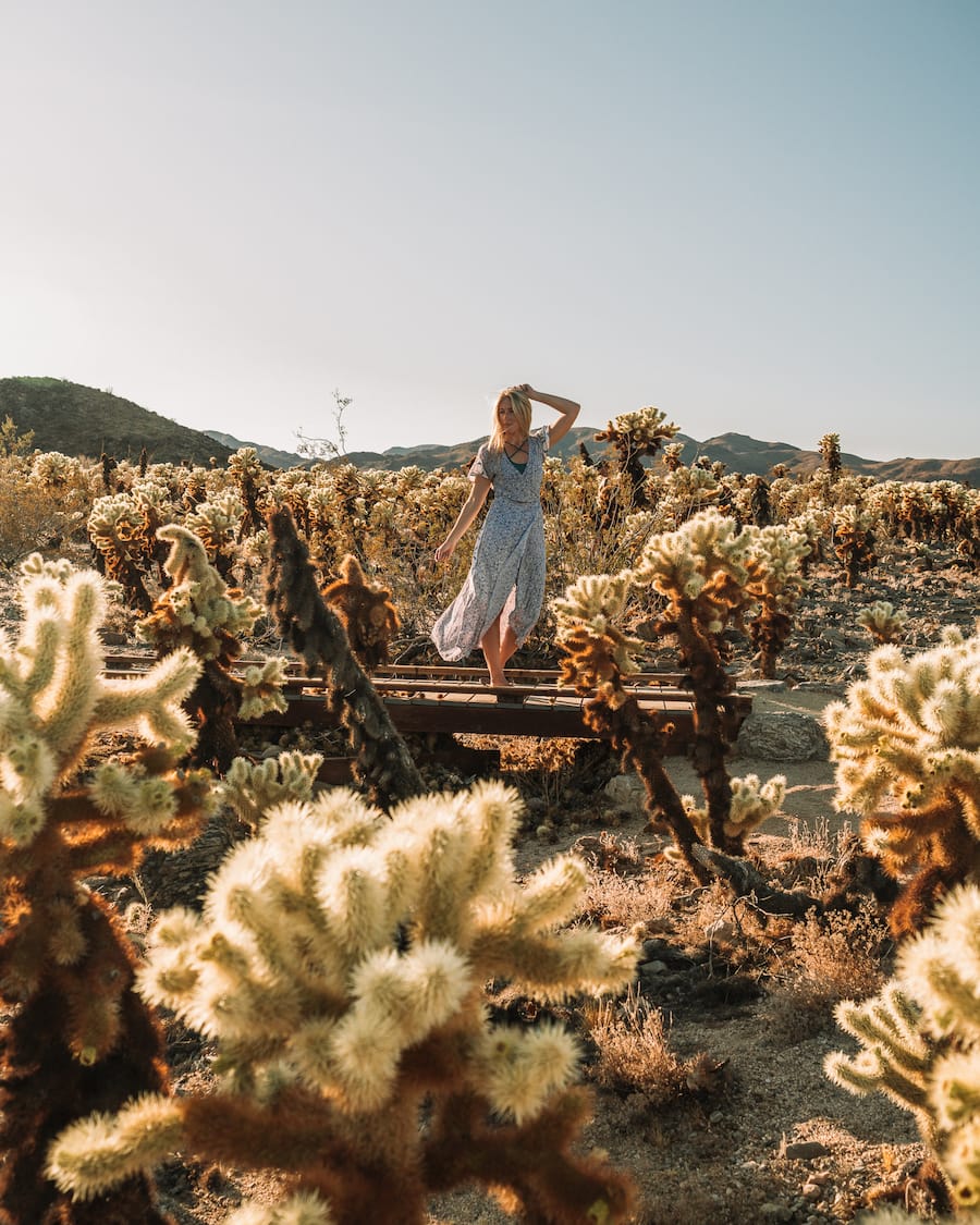 Michelle Halpern posa en Cholla Cactus Garden para cosas que hacer en el blog de Joshua Tree