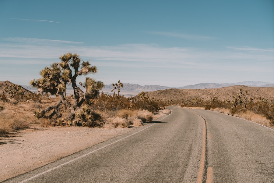 Carretera abierta en el Parque Nacional Joshua Tree