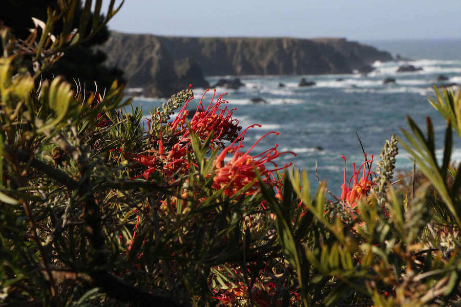 Vistas de Mendocino