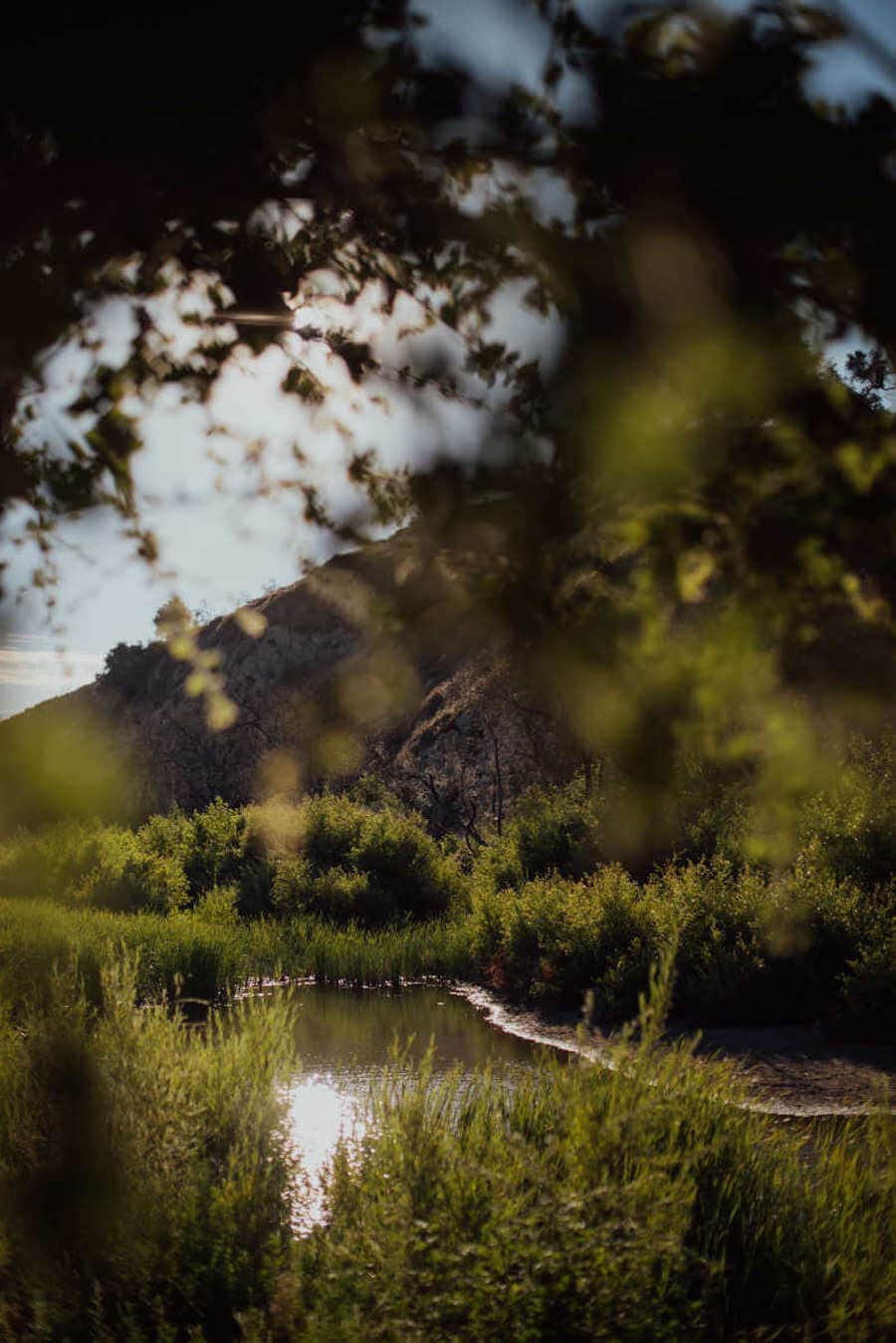 Hermoso paisaje glamping