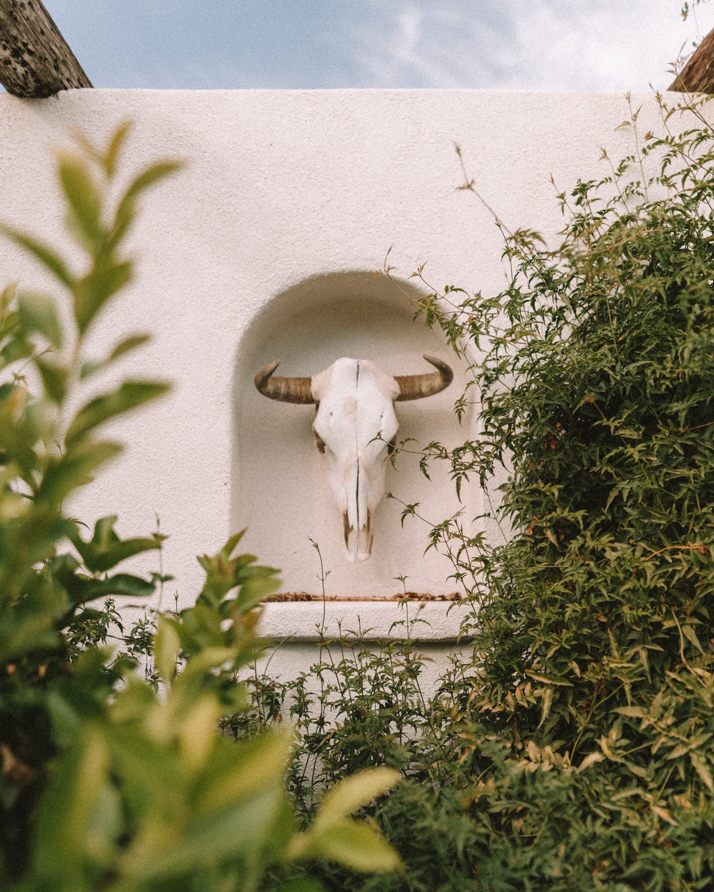 Decoración de calavera de toro en Alamo Motel
